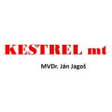 logo Kestrel mt 2023