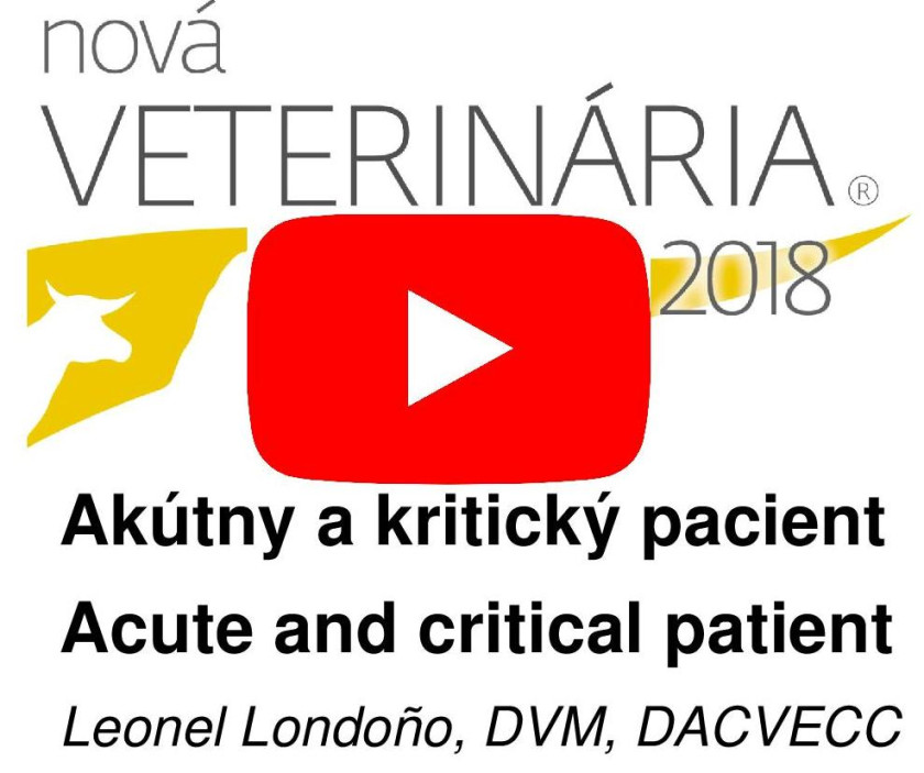 NV2018 videoprednasky